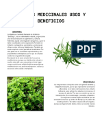 Plantas medicinales usos y beneficios: Ajedrea, mejorana, manzanilla, caléndula y geranio