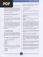 APOSTILA-COMPLETA-NEAF-TJ-14-23