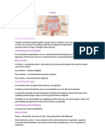 Ano (Anatomia Med)