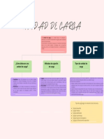 Mapa Conceptual-Unidad de Carga