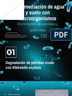 Biorremediacion Con Microorganismos