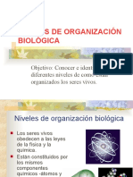 Niveles de Organizacion de La Materia