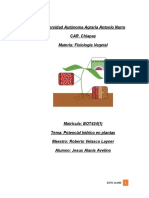 Universidad Autónoma Agraria Antonio Narro CAR. Chiapas Materia: Fisiología Vegetal