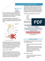 Funcional Renal II