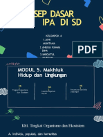 Konsep Dasar Ipa Di SD: Kelompok 4 1.AINI Muntaha Anggia Rahma Dina Imroatul Mufidah