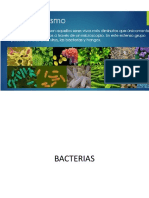 Virus Bacterias Hongos