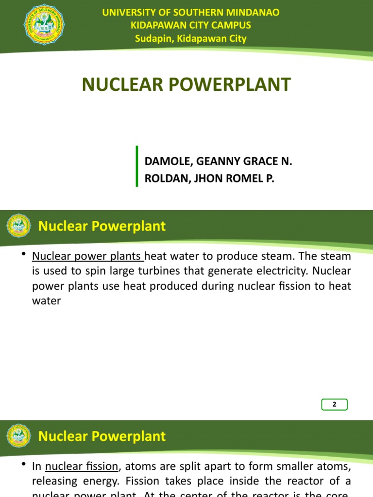 Nuclear Powerplant | PDF | Nuclear Reactor | Pressurized Water Reactor