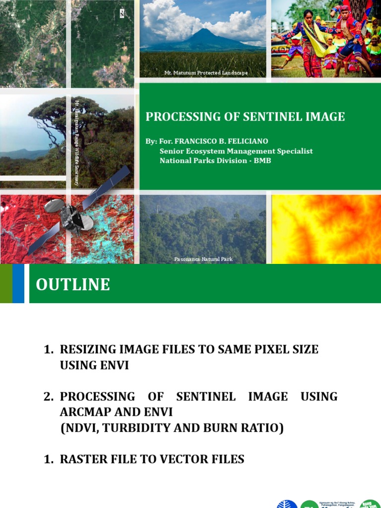01 A Processing of Sentinel Image PDF Digital Signal Processing Computer Vision
