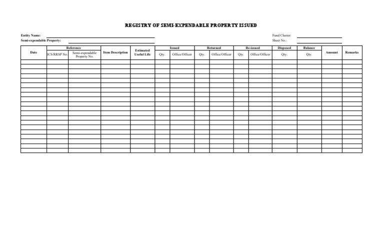 Registry of Semi-Expendable Property | PDF