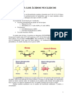 Tema5 Bio