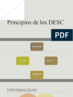 Principios de Los DESC