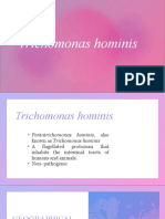 Trichomonas Hominis