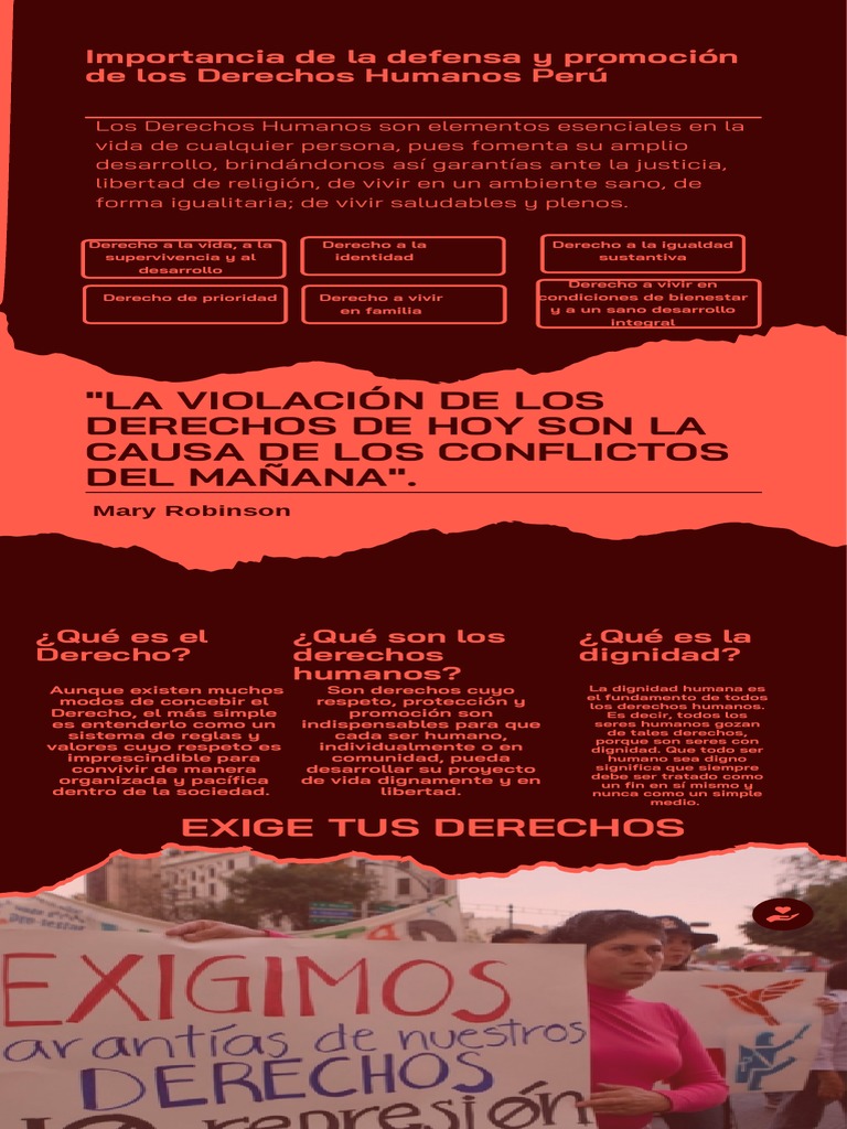 Importancia de Los Derechos Humanos | PDF