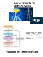 Anatomia y Fisiología Del Sistema Nervioso I