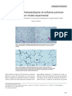 Características Histopatológicas Do Enfisema Pulmonar