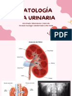 Patología vía urinaria: litiasis renal, cistitis y cistitis intersticial