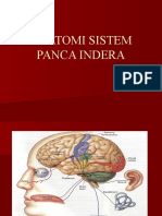 PANCA INDERA