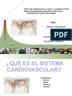 Cardiovascular D