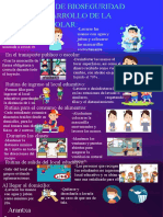 Infografia Bioseguridad Escolar Arantxa Jara