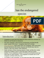 SMK Saint Paul, Beaufort Class: 2B - Orangutans Endangered Species