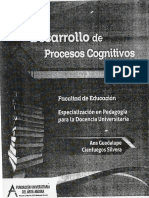 Desarrollo de Procesos Cognitivos