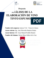 Analisis de La Elaboracion de Vino Tinto Espumoso