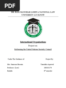 International Organisation Project