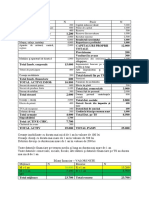 Aplicatie Bilant financiar si functional curs 29Oct20