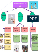 Determinantes Sociales de La Salud