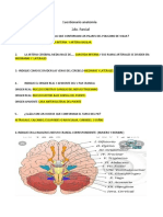 Cuestionario anatomía 2DO. PARCIAL