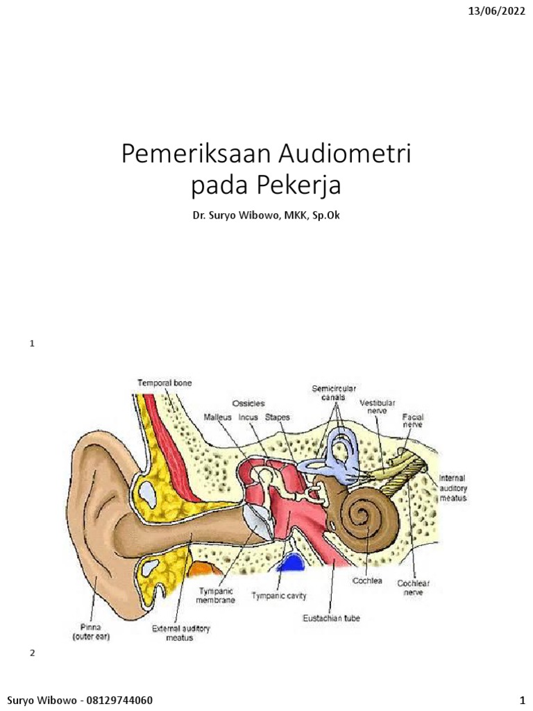 Pemeriksaan Audiometri Pada Pekerja Prosedur Interpretasi Hasil Dan