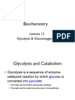 Glycolysis and Gluconeogenesis Pathways