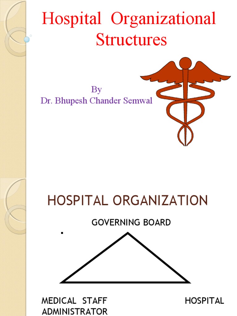 hospital-organizational-structures-pdf-hospital-physician