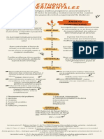 Estudios Experimentales - Infografía