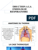 Anatomie Du Thorax