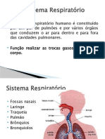 Sistema Respiratório-Aula