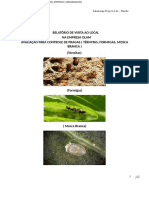 Relatorio Da Visita - Controle de Pragas - Olam
