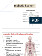 08 - Lymphatic System