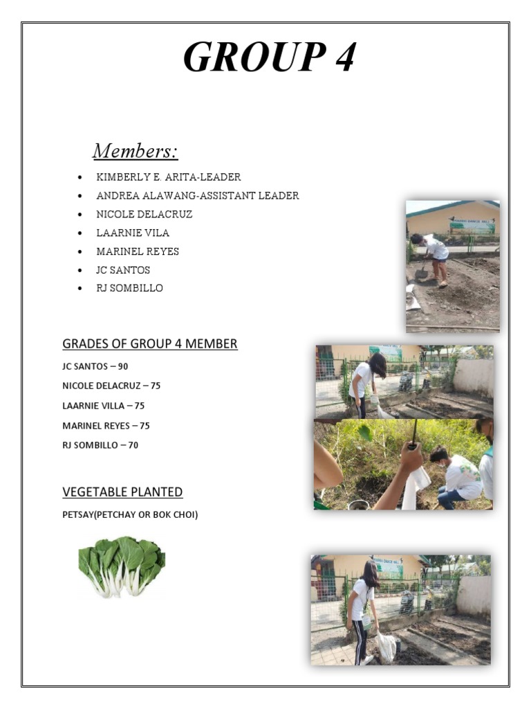 Group 4 Members and Grades Summary | PDF