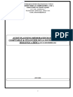 Audit Planning Memorandum de SKM