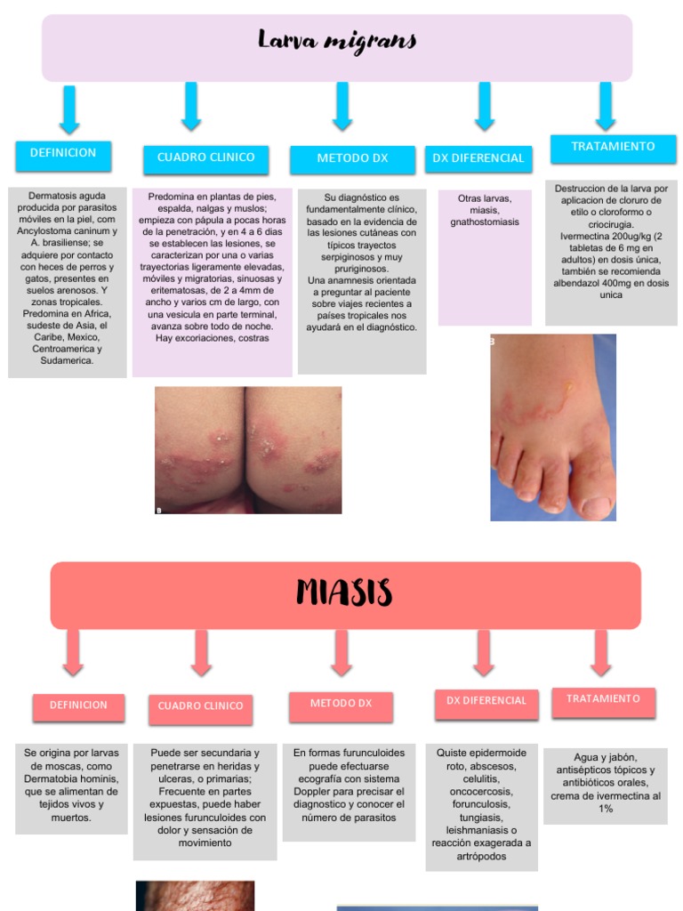 Larva Migrans y Miasis | PDF | Medicina CLINICA | Causas de la muerte