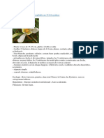 S3a Botanique Galanthus nivalis