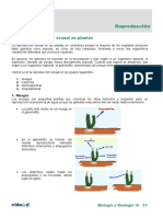 Reproducción Sexual en Plantas