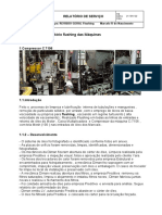 Relatorio Flushing C-7106