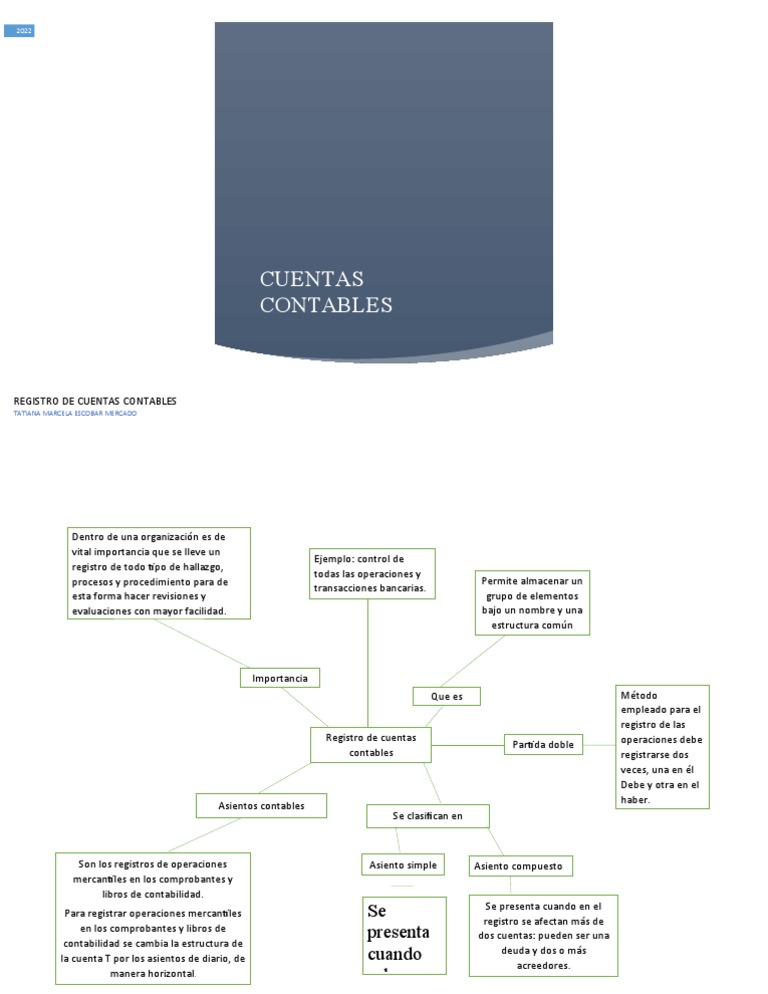 Registro de Cuentas Contables y Asientos | PDF | Contabilidad | Business