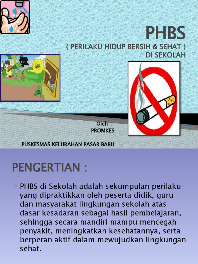 Materi Phbs Di Sekolah Pdf