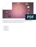 Antagonizm Części Współczulnej