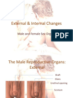 Male and Female Sex Organs Bricks
