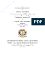 Seminar Document SK