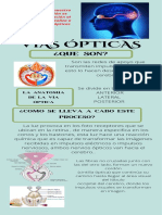 Vías Ópticas Infografia